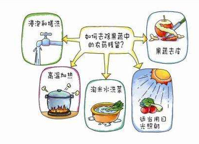 如何減少農(nóng)藥污染去除農(nóng)藥殘留？振華化工總結(jié)以下幾點(diǎn)分享給大家